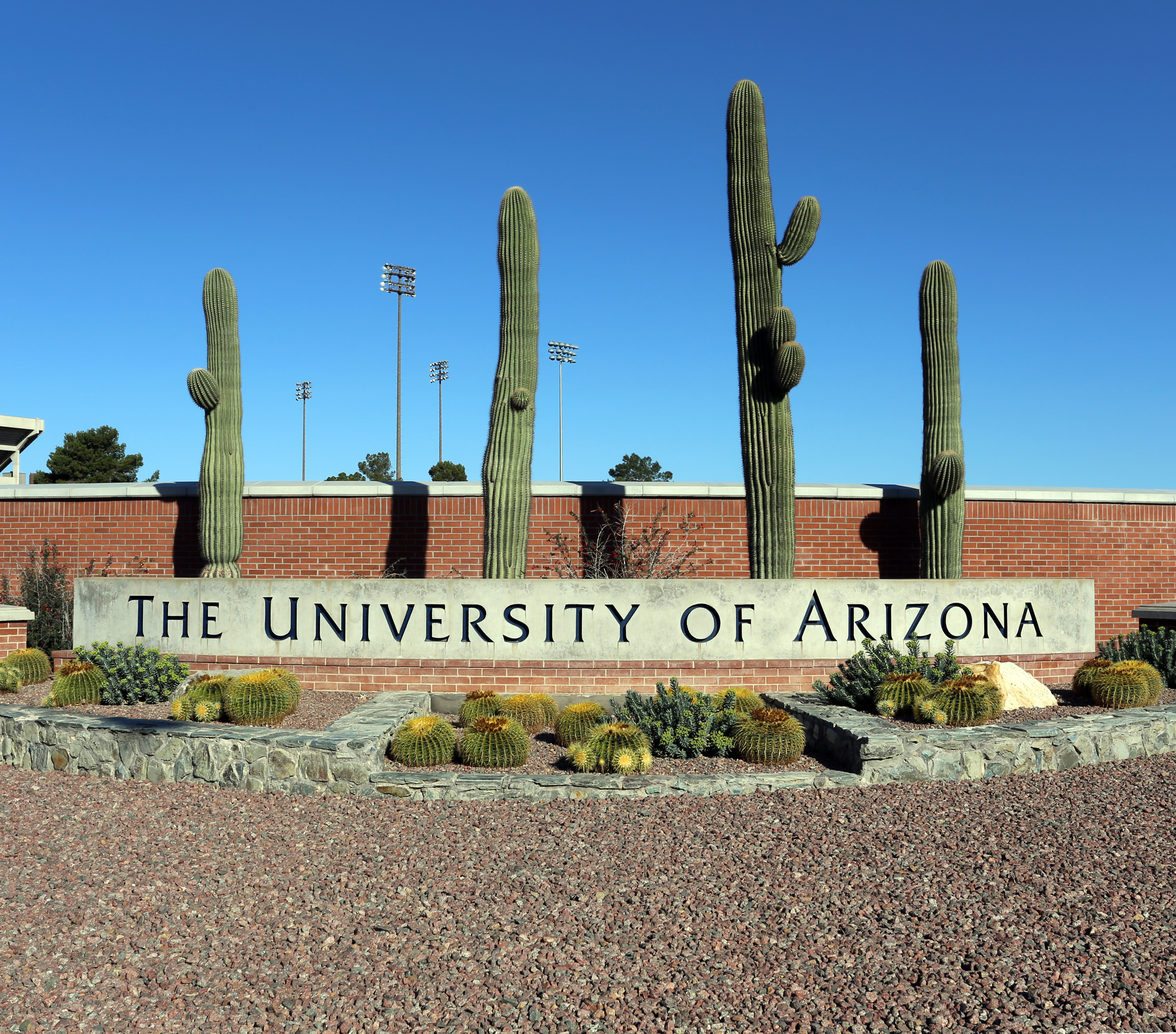 2 arrested in racist attack on black student at U of Arizona