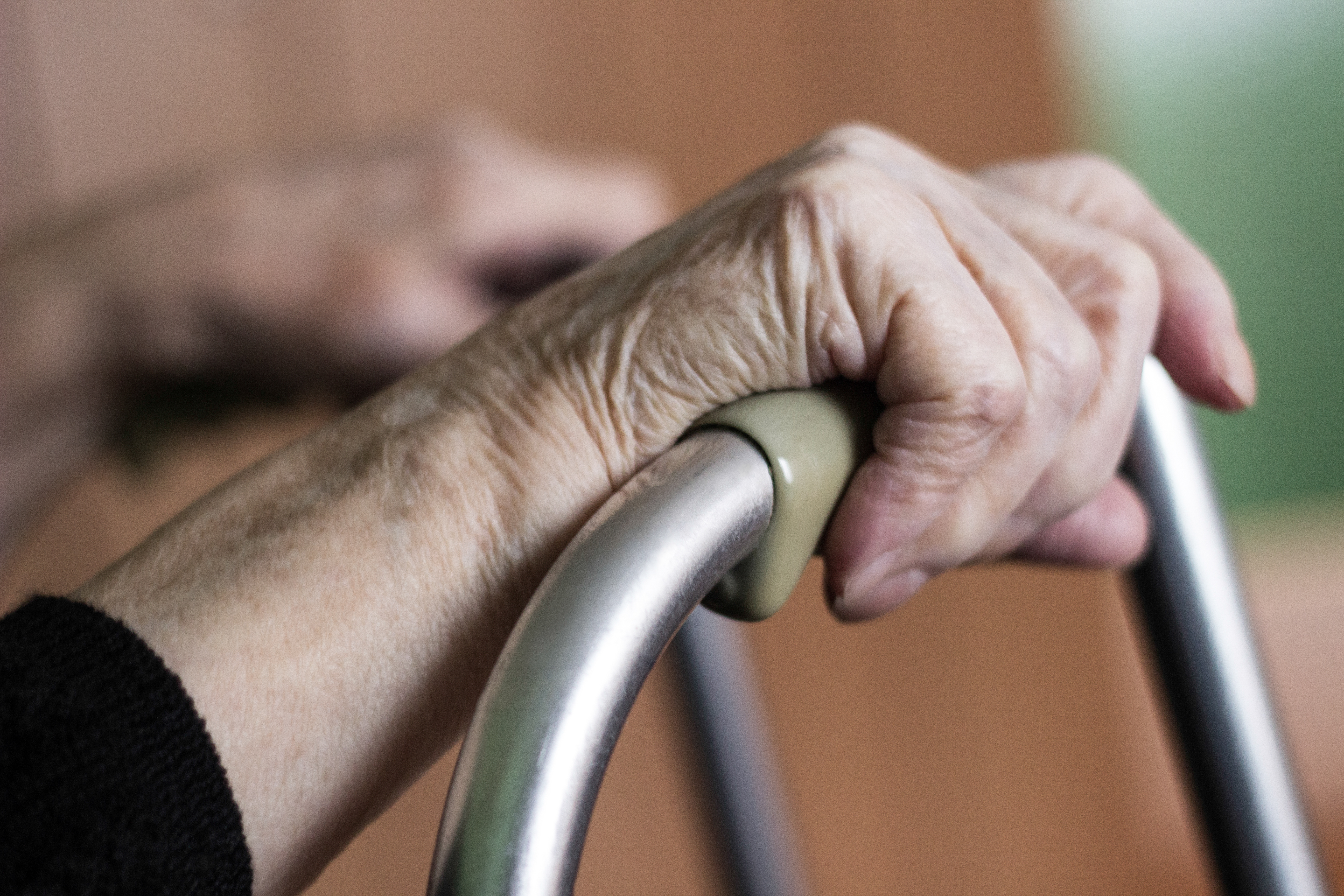 She Was 92 and Loved Cats. An Attack Left Her Dead on the Street