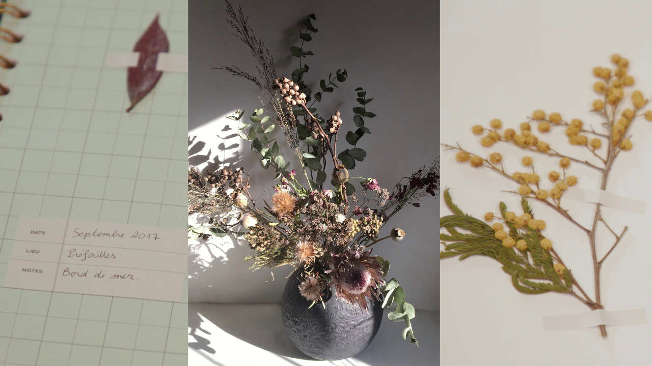 Des Cadeaux De Noël Intemporels Pensez Aux Herbiers Et