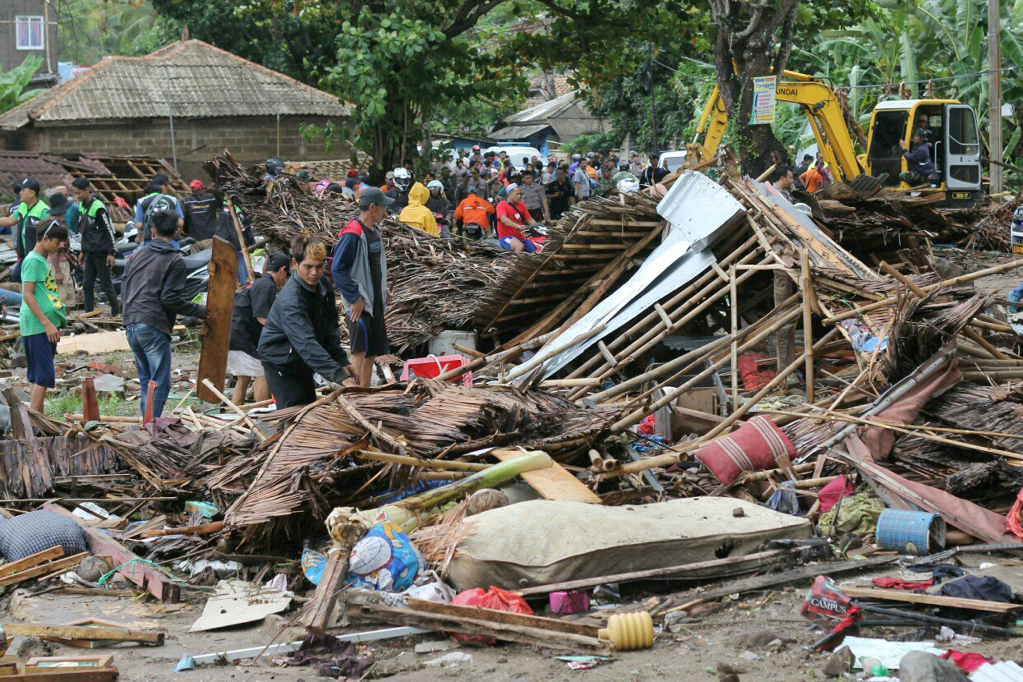 Unduh 510 Koleksi Gambar Flora Dan Fauna Yang Ada Di Mesir Paling Baru Gratis