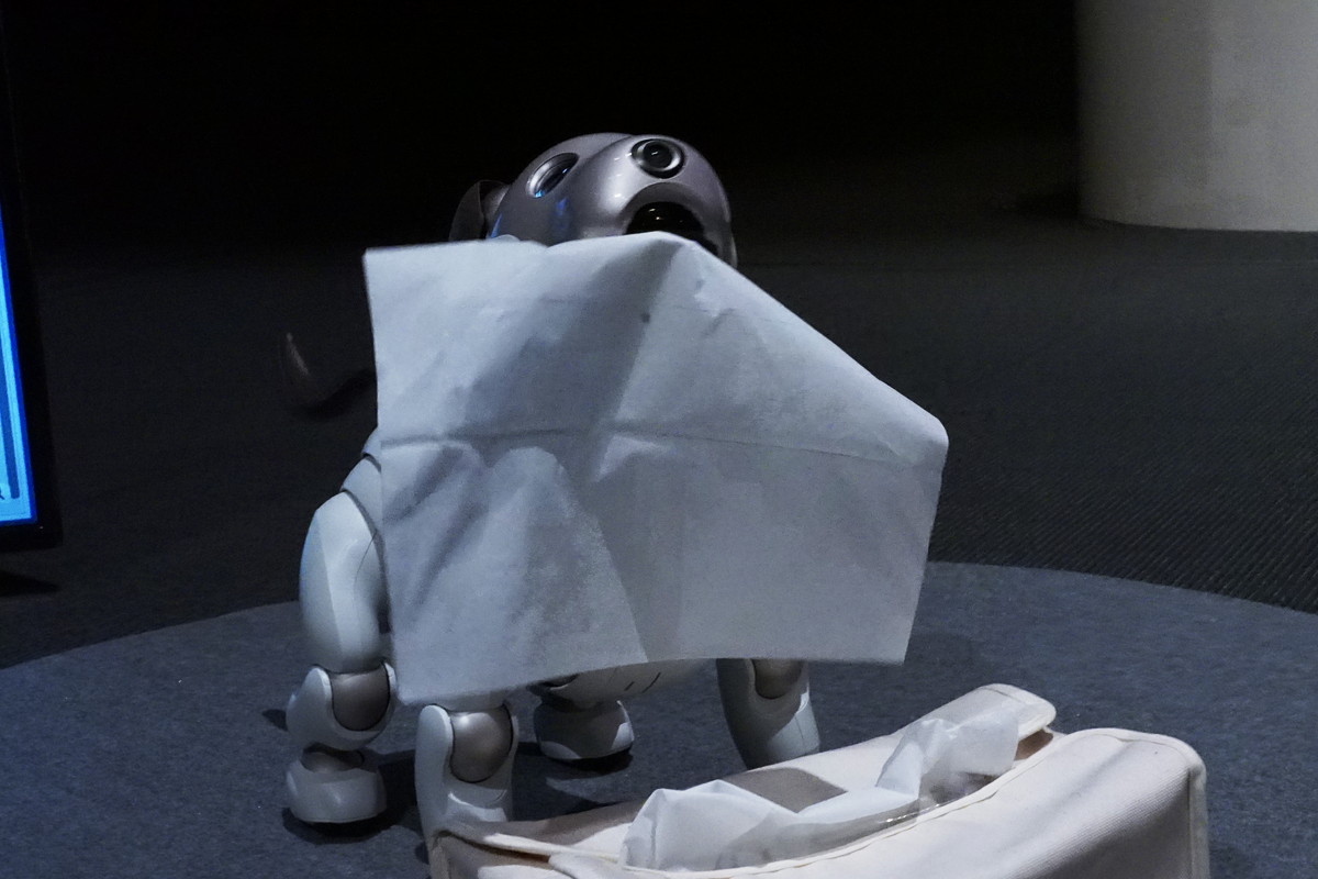 aibo