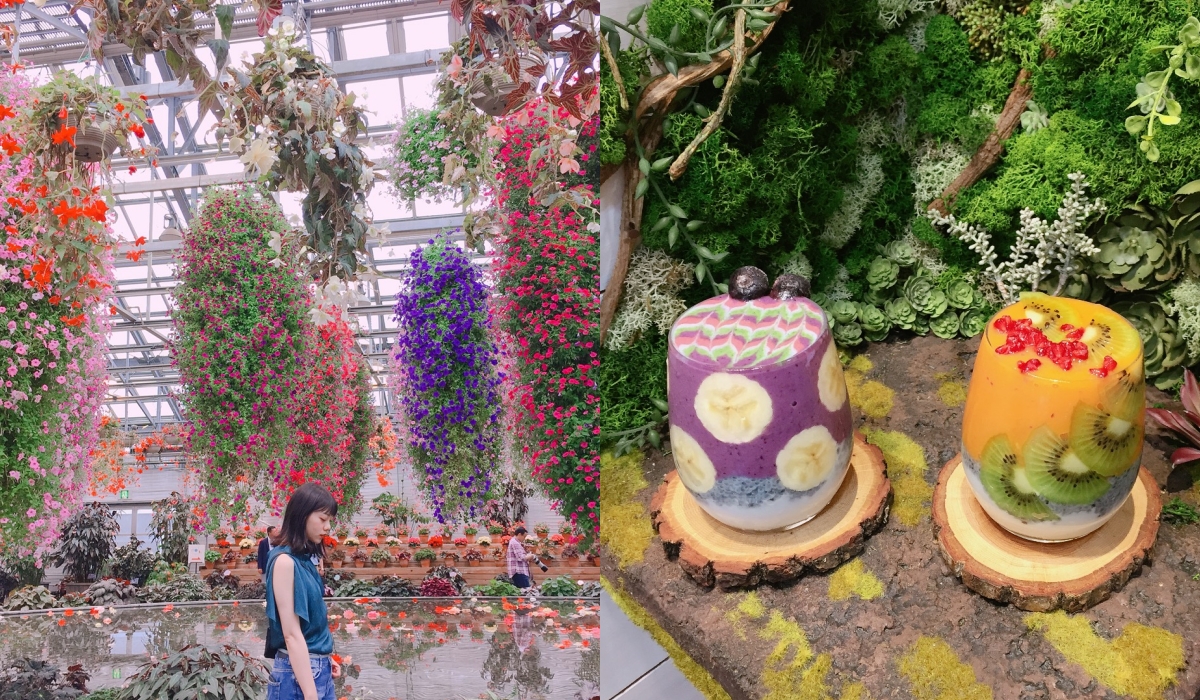 別再只去東京大阪了 秘境花園 夢幻果昔 藝術酒店 日本女孩都愛去的網紅景點在這 Yahoo奇摩時尚美妝