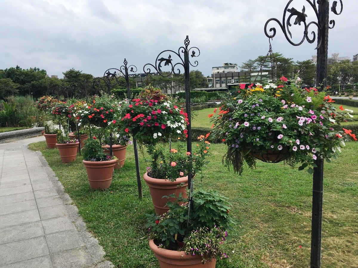 印刷 伊達政宗花 ディズニーシークリスマス混雑