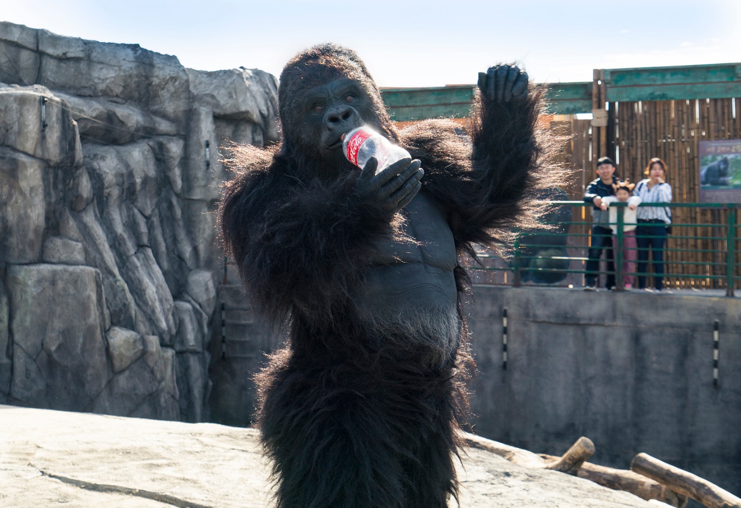 韓版壽山動物園 超 人 氣動物園 韓國首週末票房冠軍破69億 Yahoo奇摩電影戲劇