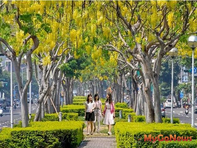 ▲高雄市政府強力整合路平，中央考評道路全獲優等，圖為愛河沿岸鳳凰花妝點愛河園道(圖：高雄市政府)