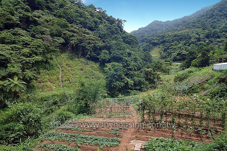 圖片/住展房屋網提供