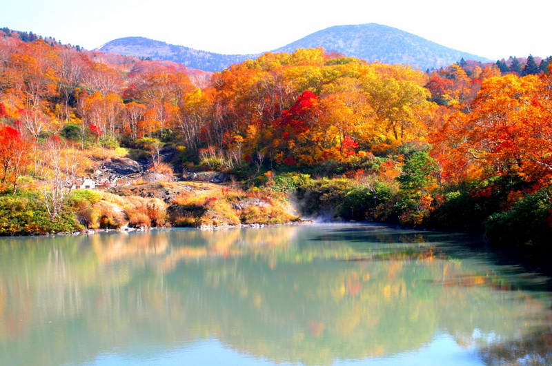 圖/八甲田山秋紅