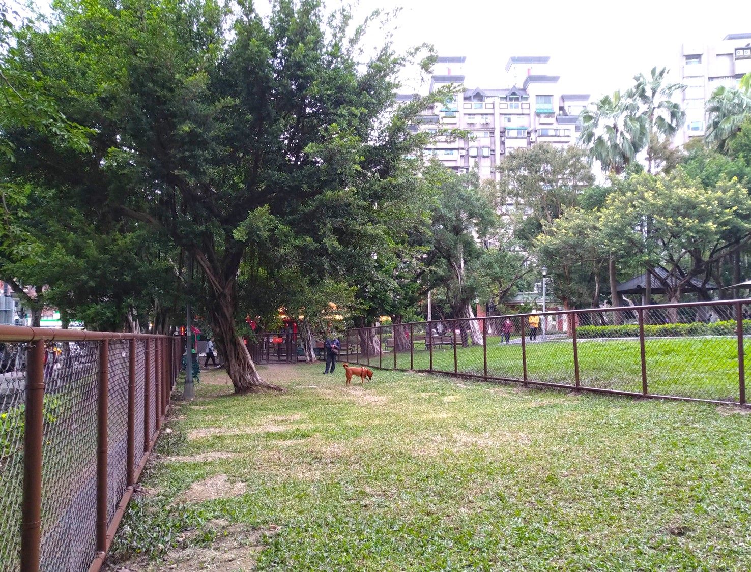 毛小孩搭專屬公車放風趣 雙北10大寵物公園報你知 Yahoo奇摩旅遊