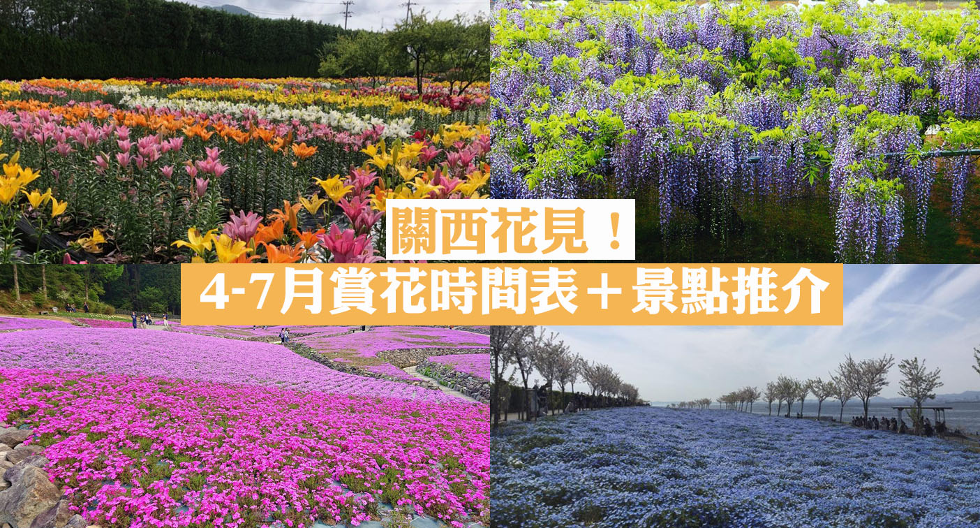 關西花見 4 7月賞花時間表 推介景點 Yahoo奇摩汽車機車