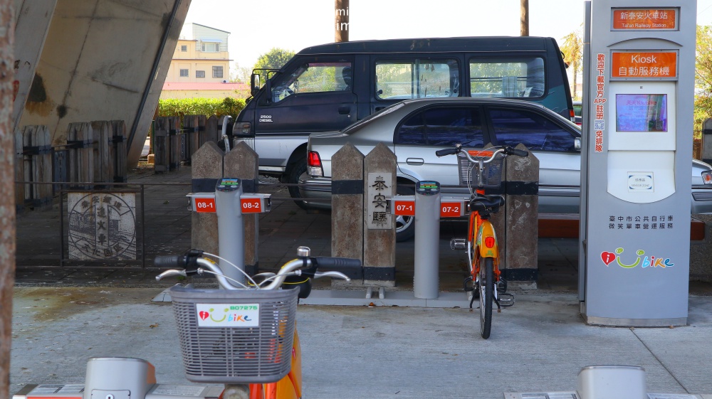 泰安落羽松秘境