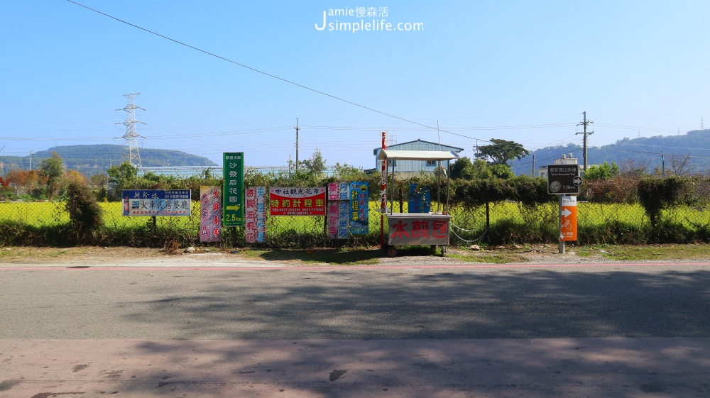 泰安落羽松秘境