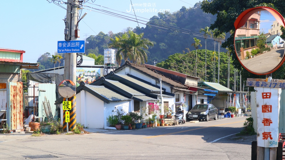 泰安落羽松秘境