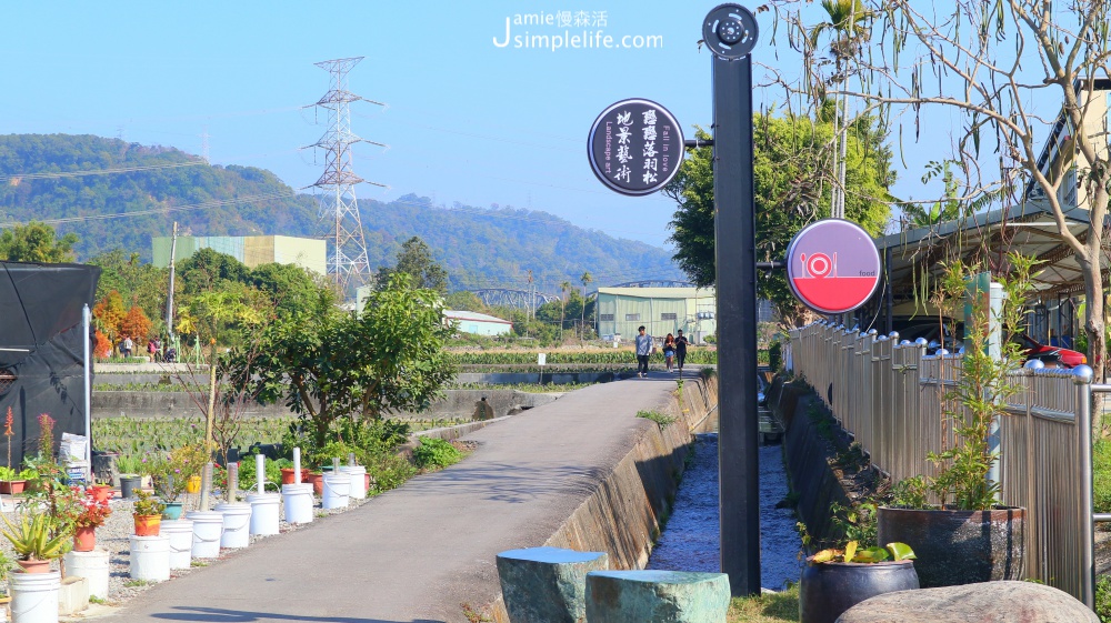 泰安落羽松秘境