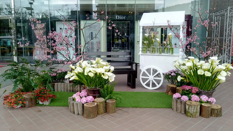 圖/市區也能欣賞海芋季的美