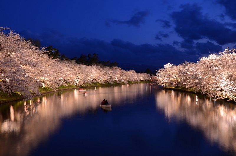 圖/弘前夜櫻