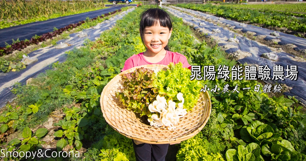 首座太陽能休閒農場 小小農夫體驗趣 雲林晁陽綠能體驗農場 Yahoo奇摩旅遊