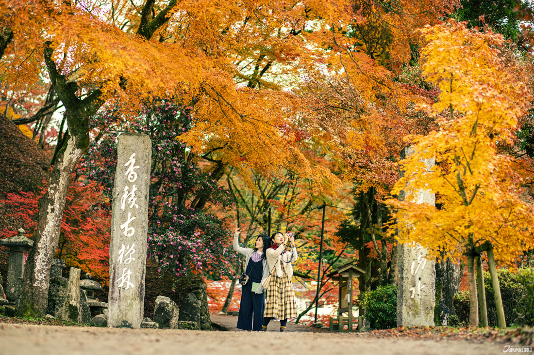 日本中部秋季旅遊景點 誰說豐田只有汽車 紅葉名所香嵐溪與四季櫻 Yahoo奇摩旅遊