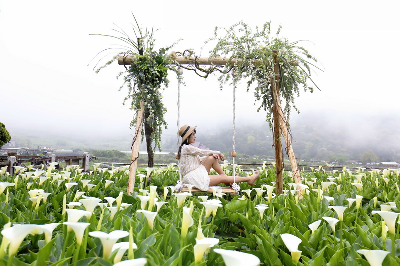 圖/芋見日常小確幸