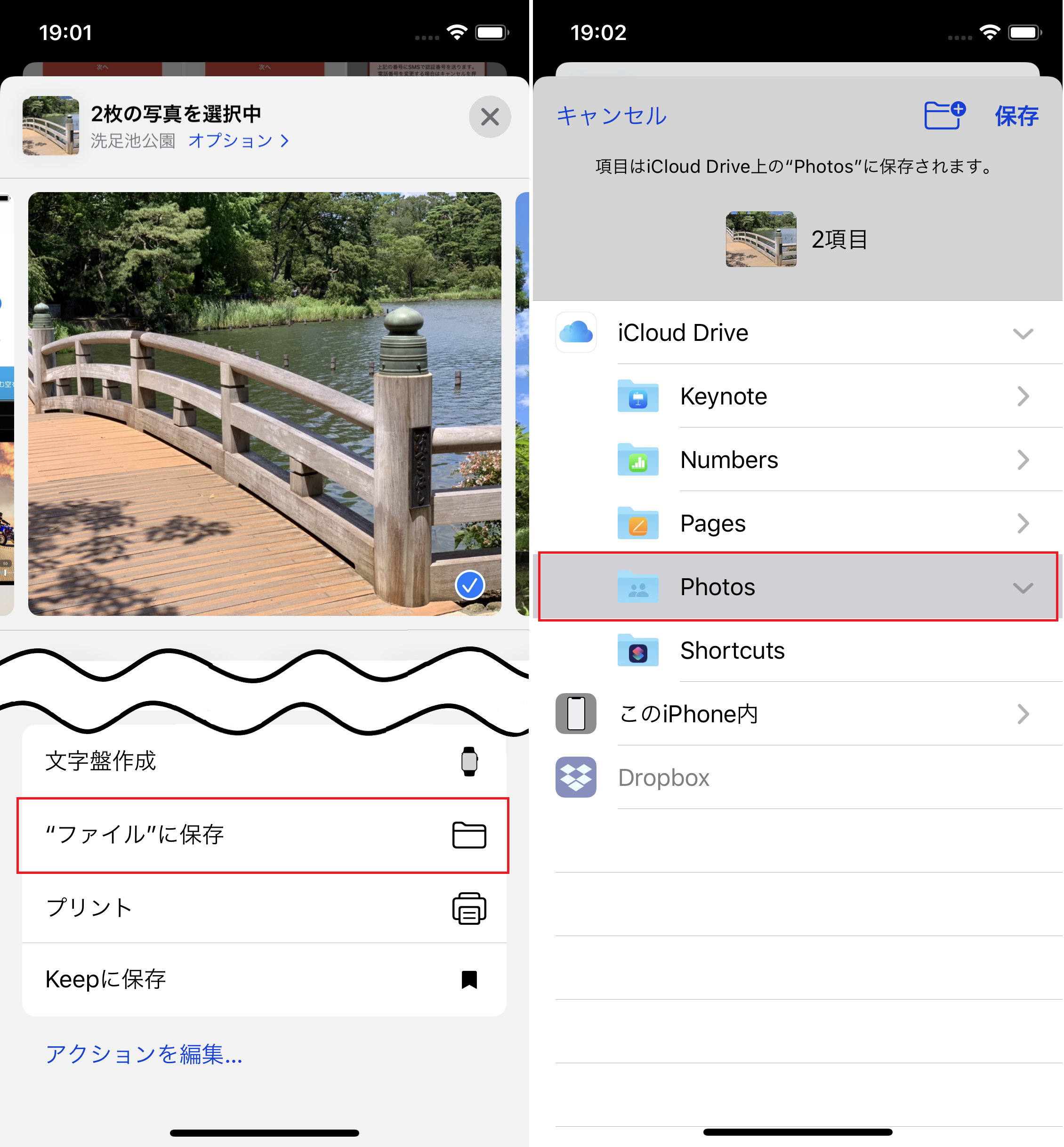 iPhone