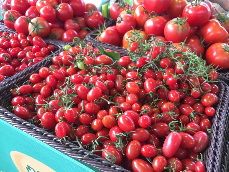 圖2.雲林週帶來新鮮的在地番茄。