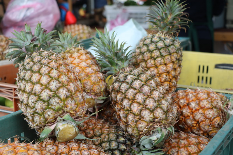 圖4.台南鳳梨正值產季，每顆鳳梨都多汁又美味。