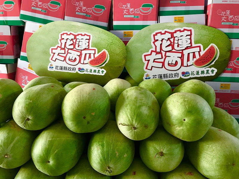 圖5.西瓜是夏天消暑首選，花蓮週將推薦特優品質的西瓜給大家。