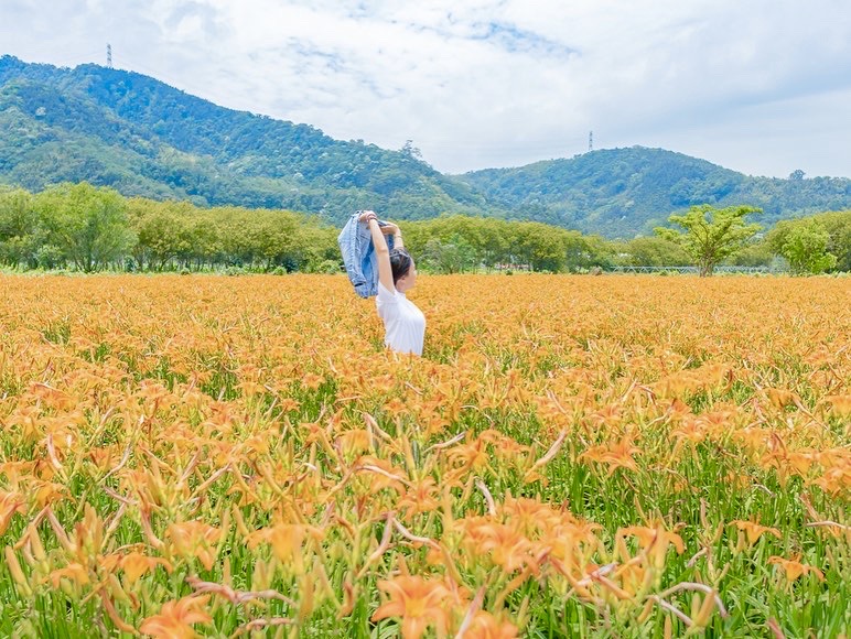 花現日月潭 頭社金針花海準備美一波 Yahoo奇摩旅遊