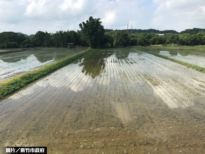 圖片/新竹市政府提供