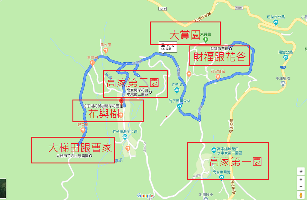 竹子湖繡球花季｜大梯田花卉生態農園