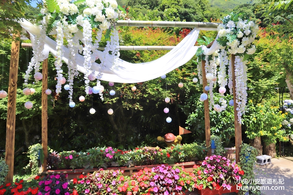 竹子湖繡球花季｜大梯田花卉生態農園