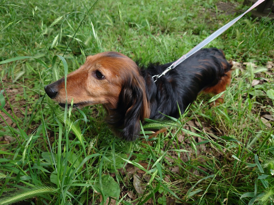 Xperia 1 II camera review Yuriko Ota