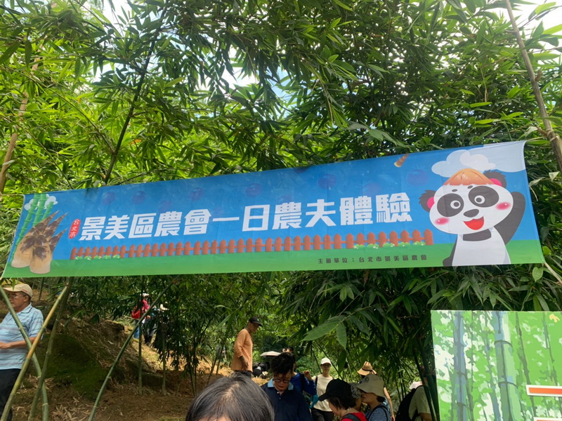 圖/每年6月到9月是臺北市綠竹筍盛產的季節，夏日炎炎正是品嘗綠竹筍的最佳時節。