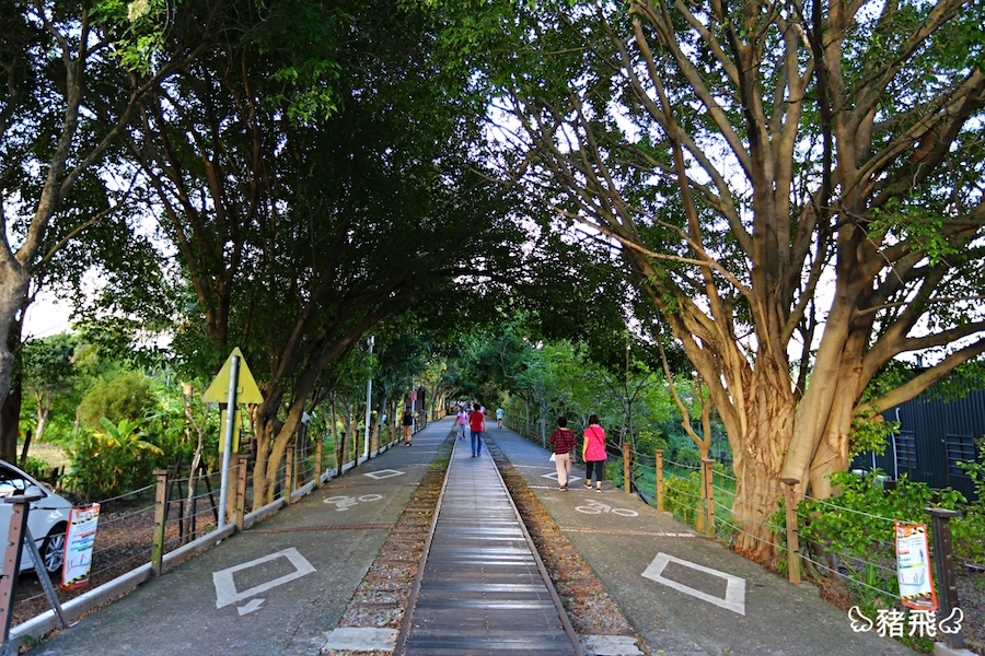 嘉油鐵馬道 嘉義第一條自行車道 沿途綠意盎然 市民散步運動的秘密花園 Yahoo奇摩旅遊