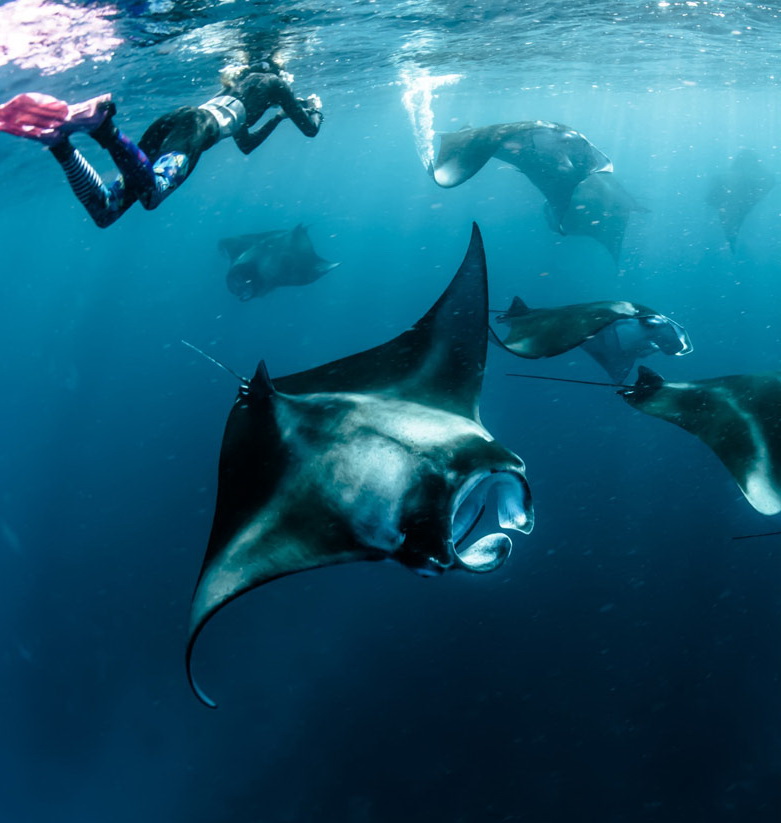 圖/外島浮潛探索-芬達旅遊提供
