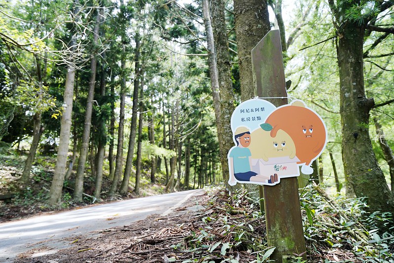 台中東勢「梨鄉背景-阿梨x阿尼」私房景點