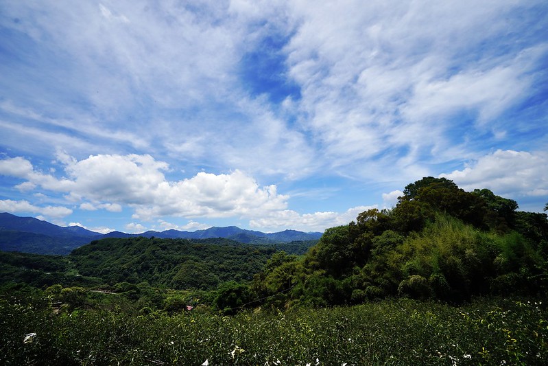 台中東勢「梨鄉背景-阿梨x阿尼」私房景點