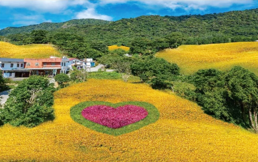 今年赤科金針花季主題為「仙境漫遊」(圖片來源：2020赤科山金針花季網站)