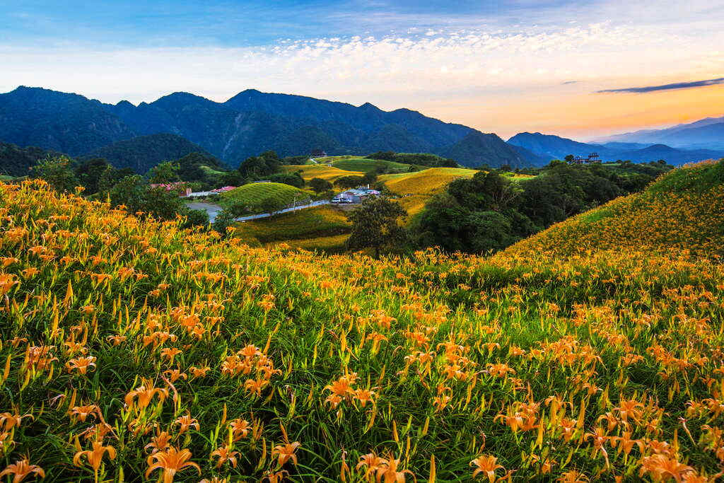 黃昏的六十石山別有一番風情(圖片來源：花東縱谷國家風景區)