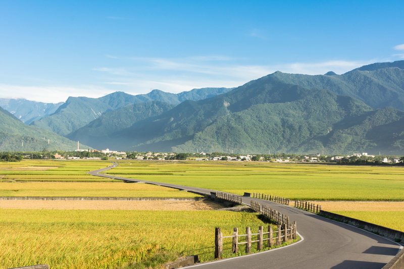 圖 / 台東伯朗大道是必訪的景點之一