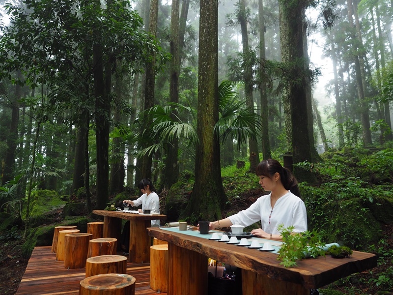 圖片提供/交通部觀光局阿里山國家風景區管理處