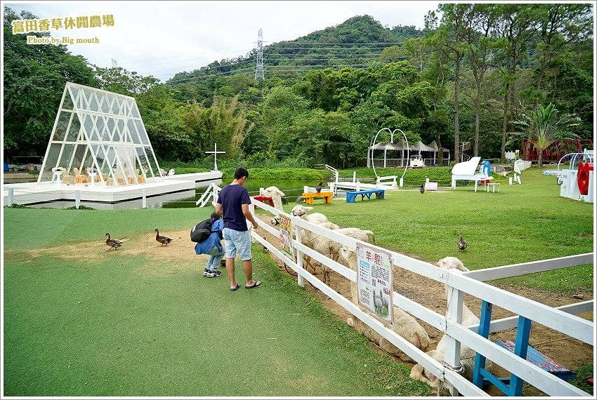 桃園｜富田香草休閒農場