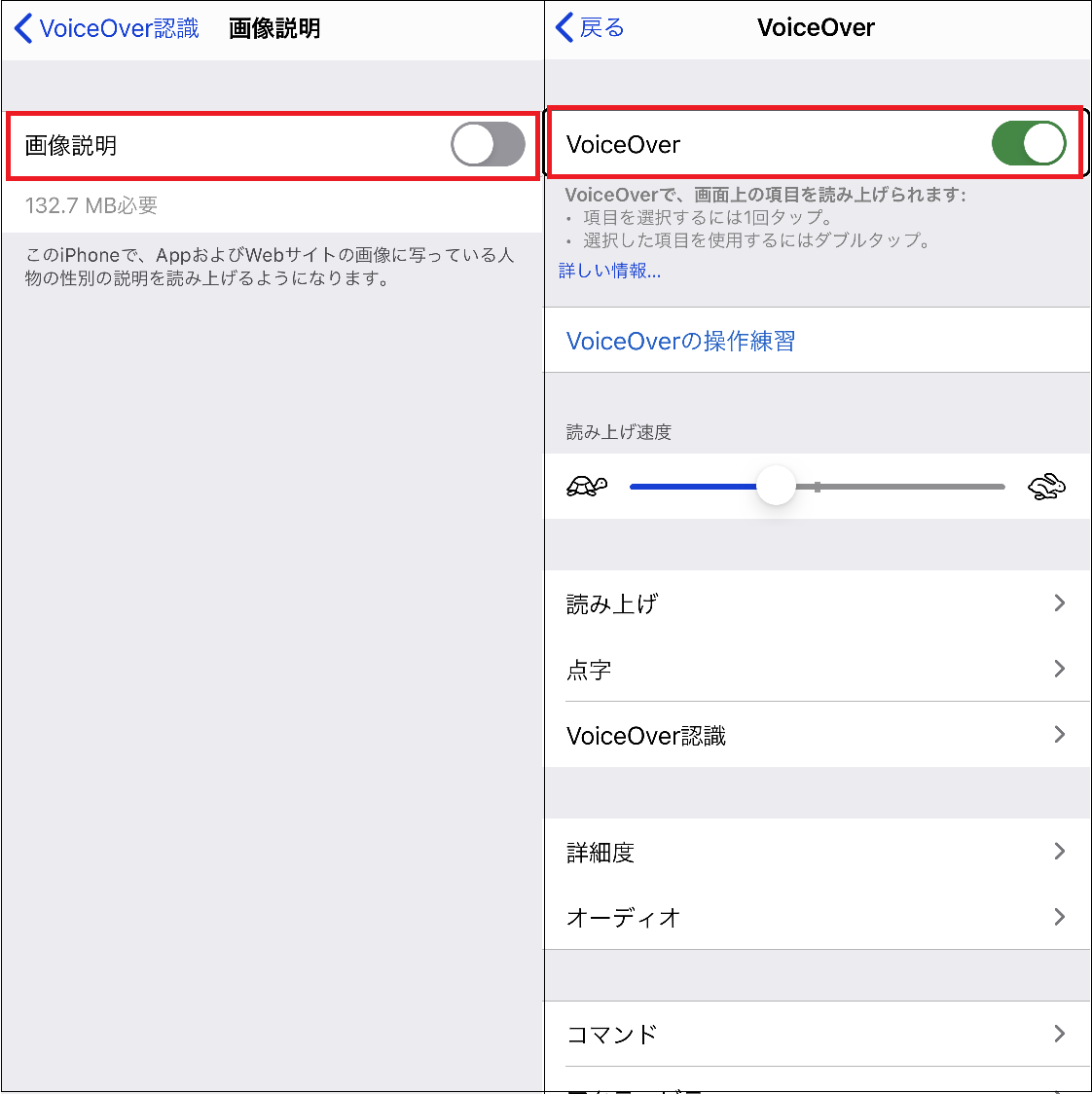 Voiceover で画像の説明を読みあげ Iphone Tips Ios 14パプリックベータ Engadget 日本版