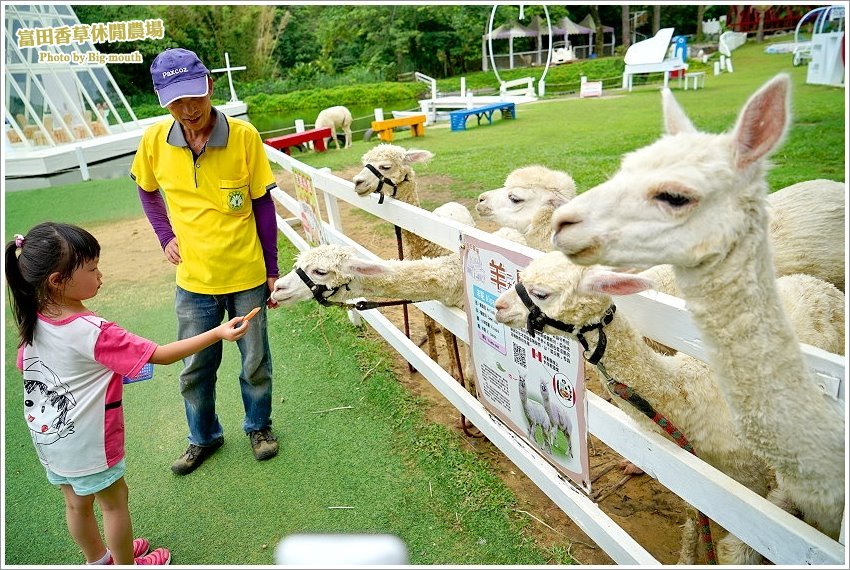 桃園｜富田香草休閒農場