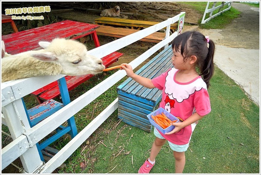桃園｜富田香草休閒農場