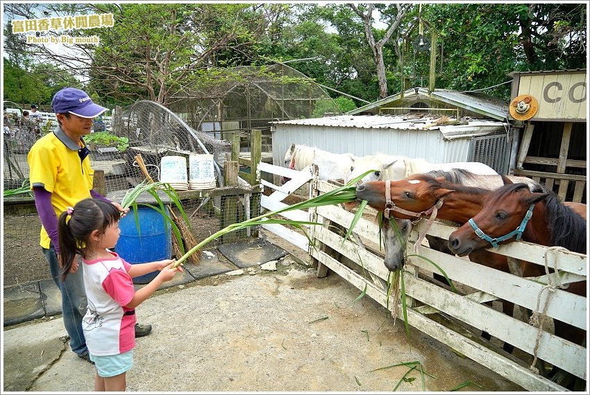 桃園｜富田香草休閒農場
