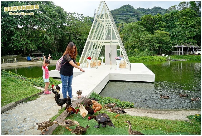 桃園｜富田香草休閒農場