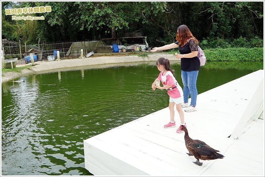 桃園｜富田香草休閒農場
