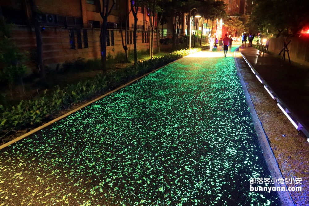 陸地版綠眼淚 桃園全新夜間散步秘境 蓄光石星光步道 宛如星空般璀璨 Yahoo奇摩旅遊