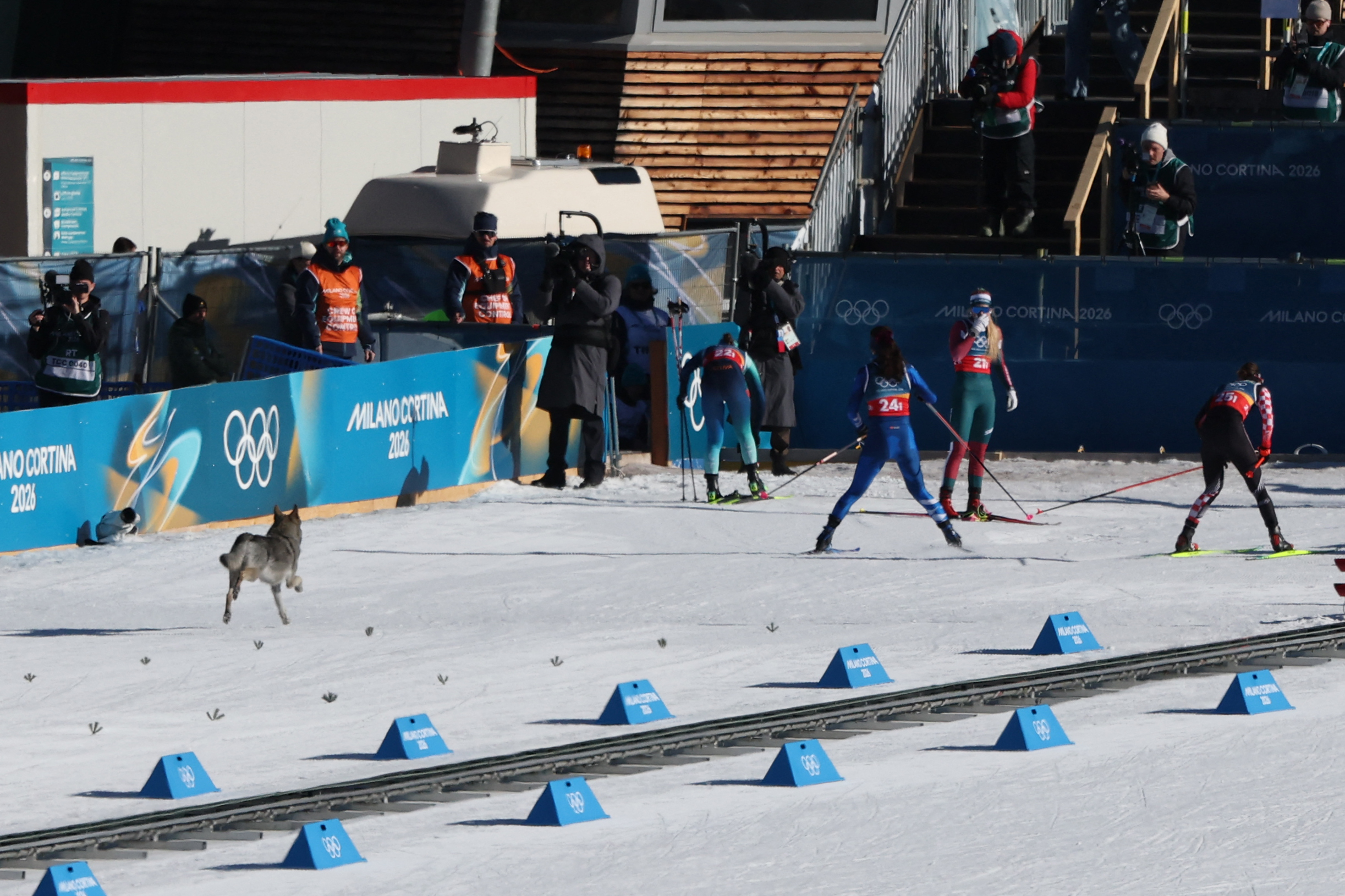 TOPSHOT - A dog wanders on the ski trail during the women's team cross country free sprint qualification event of the Milano Cortina 2026 Winter Olympic Games at Tesero Cross-Country Skiing Stadium in Lago di Tesero (Val di Fiemme), on February 18, 2026. (Photo by Anne-Christine POUJOULAT / AFP via Getty Images)