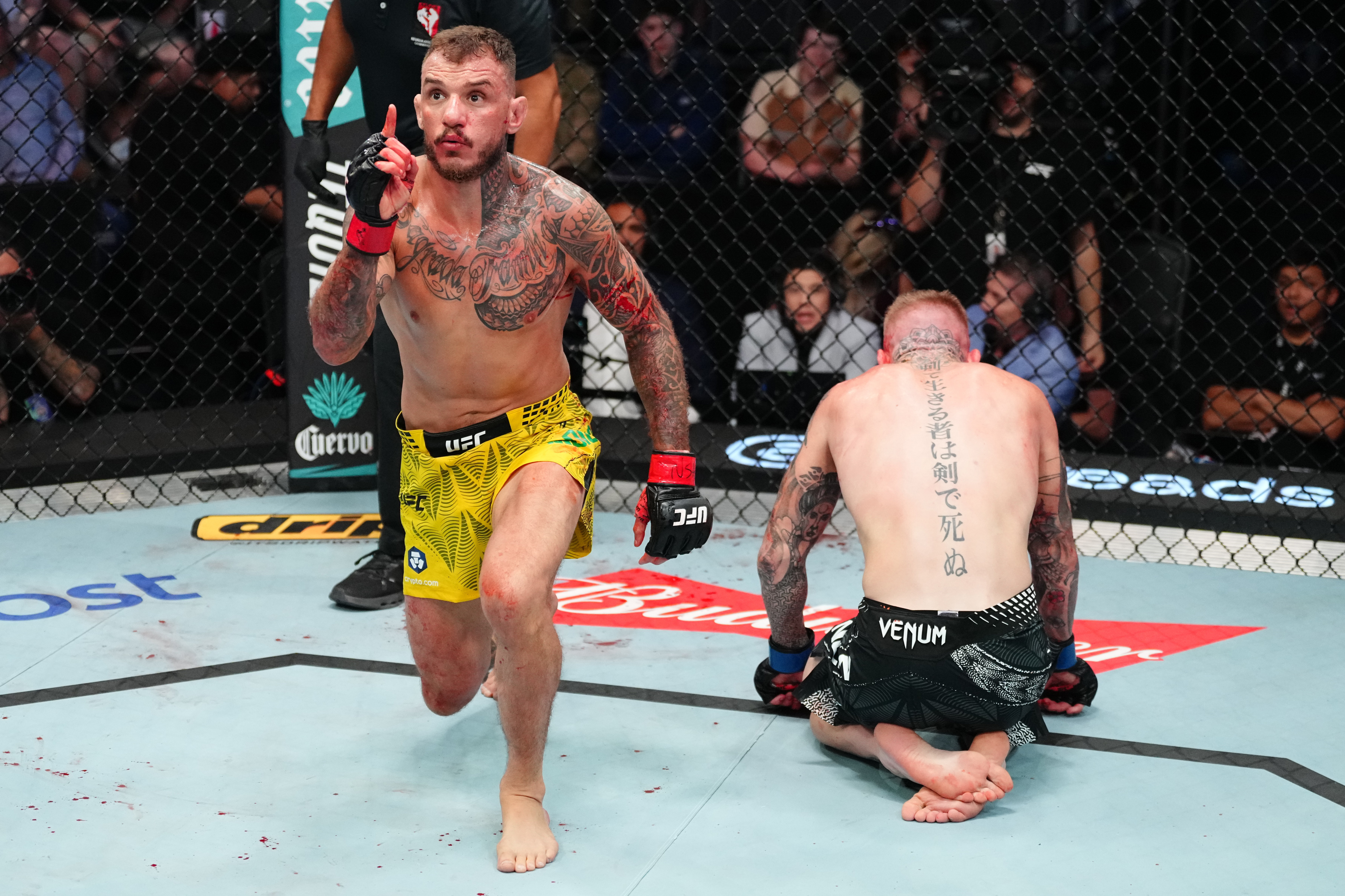 UFC Vegas 123 preview and predictions: Can Tom Nolan take Renato Moicano's spot on Halloween?